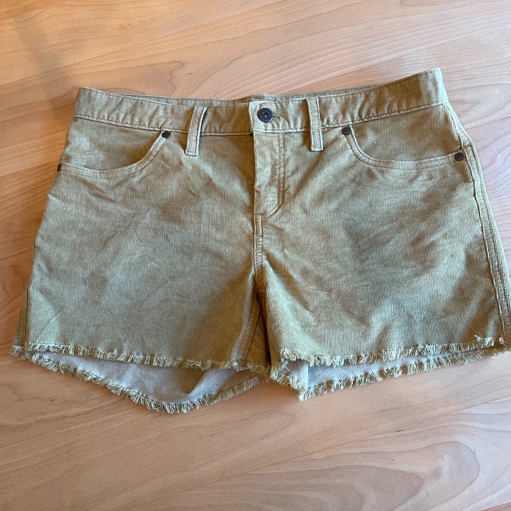 Carve Designs Oahu Cord shorts